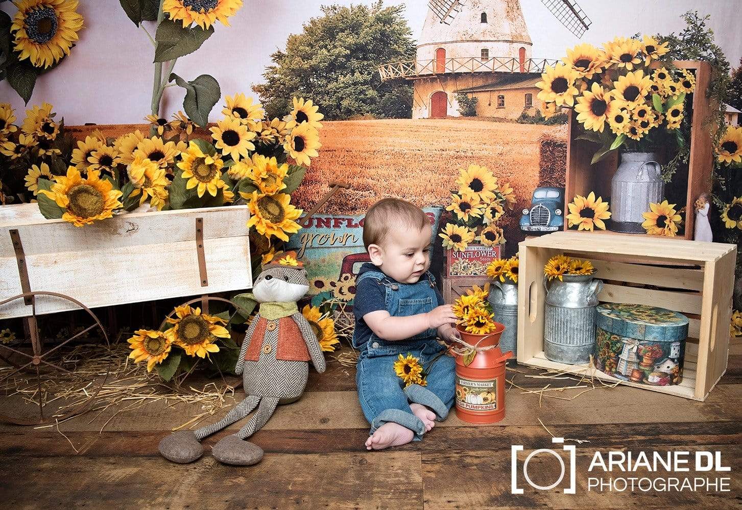 Kate Summer Sunflower Autumn Farm Field Backdrop - Image 5