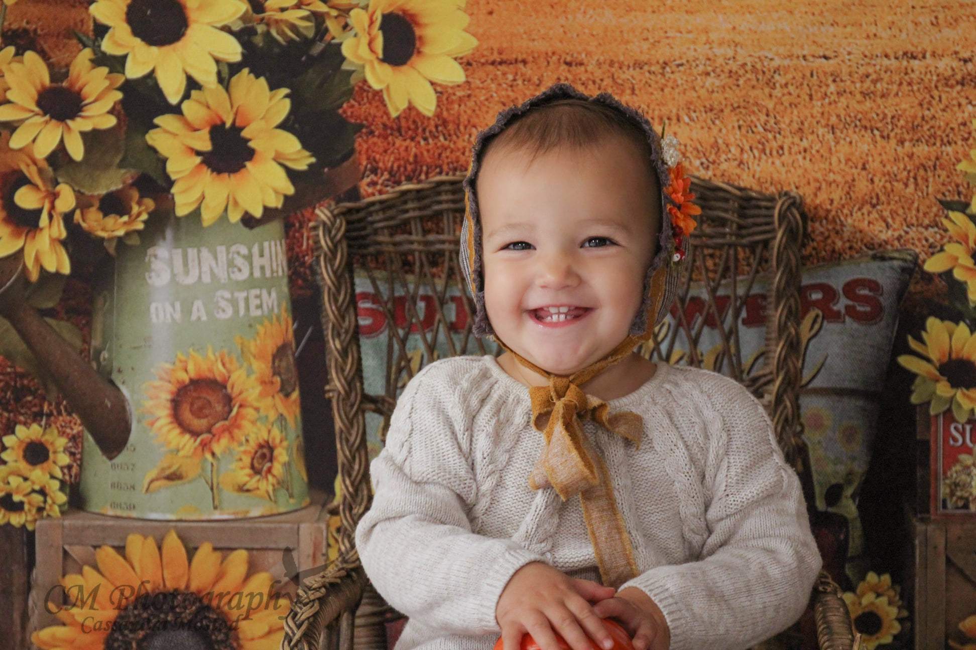 Kate Summer Sunflower Autumn Farm Field Backdrop - Image 7