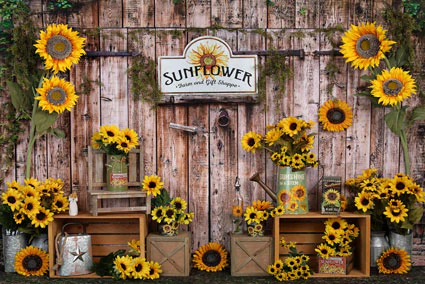 Kate Summer Sunflower Gift Shop Wood Autumn Backdrop for Photography - Image 20