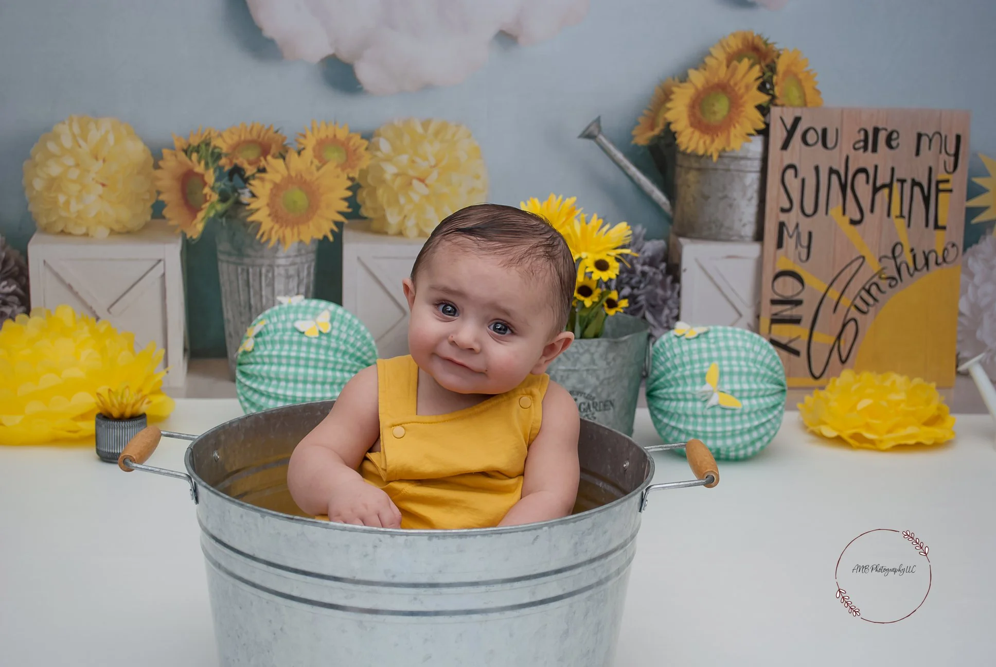Kate Summer Sunflower Sunshine Backdrop Designed By Mandy Ringe Photography - Image 4