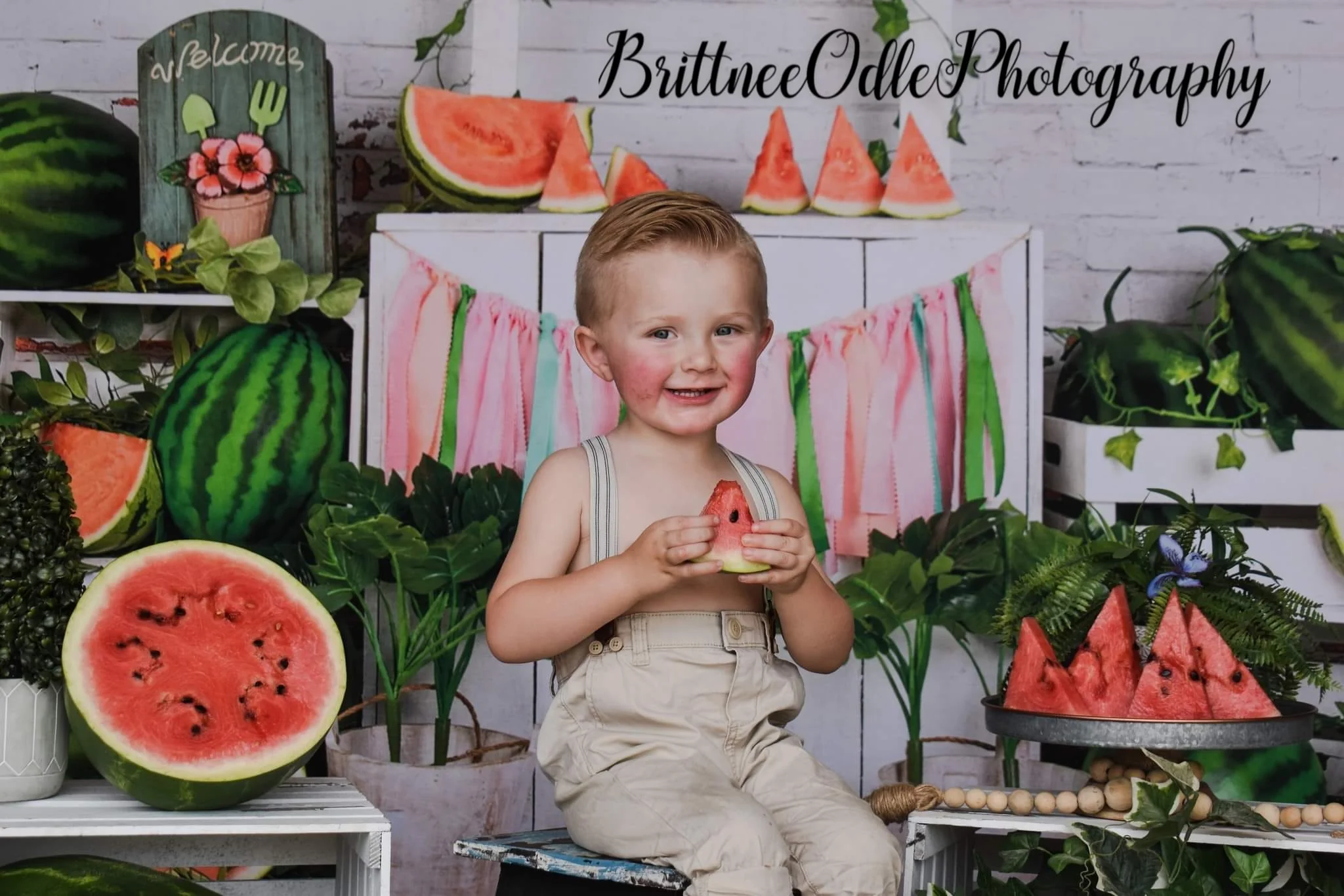Kate Summer Watermelon Shop Backdrop Designed by Jia Chan Photography - Image 4