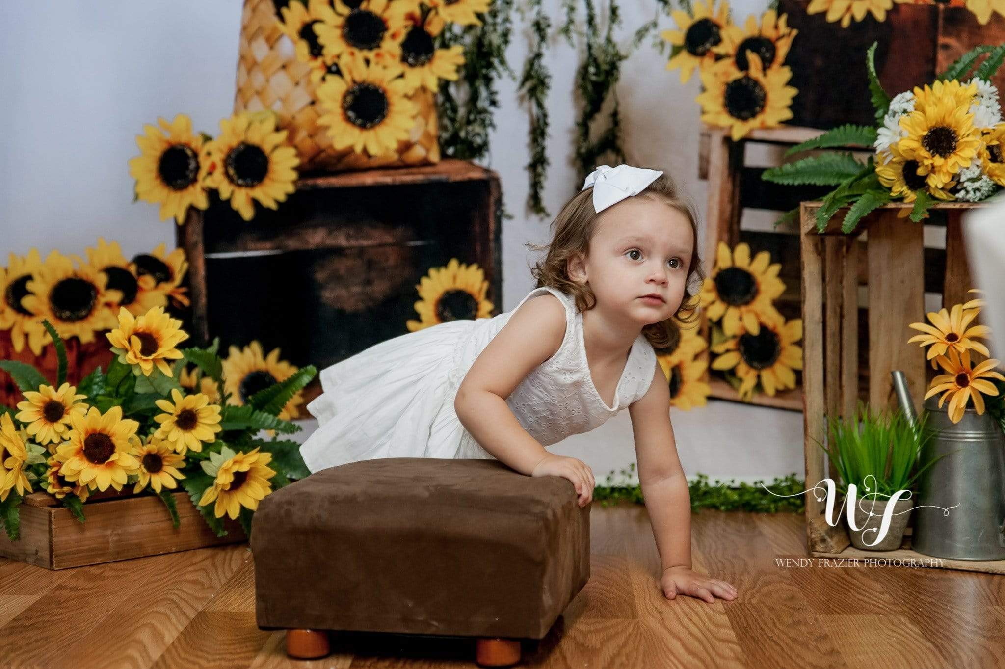 Kate Sunflower Summer Backdrop for Photography Designed by Keerstan Jessop - Image 10