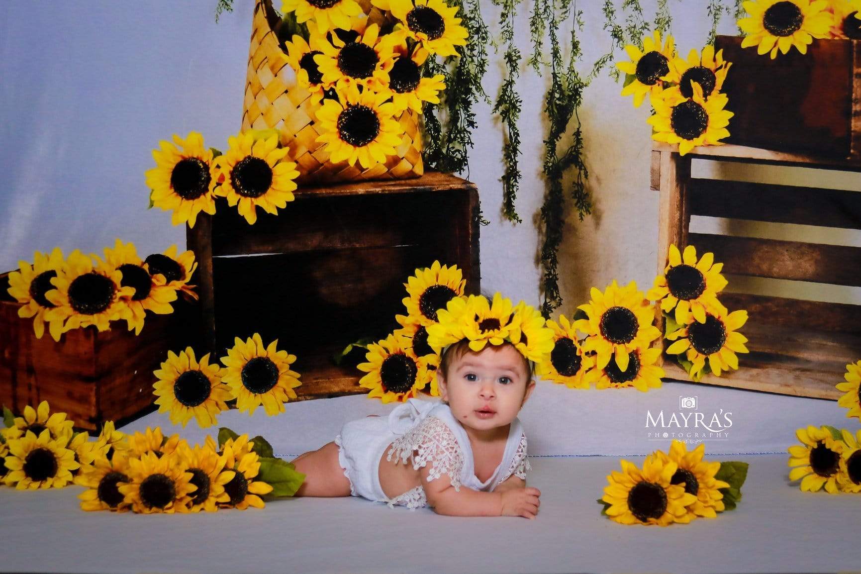 Kate Sunflower Summer Backdrop for Photography Designed by Keerstan Jessop - Image 12