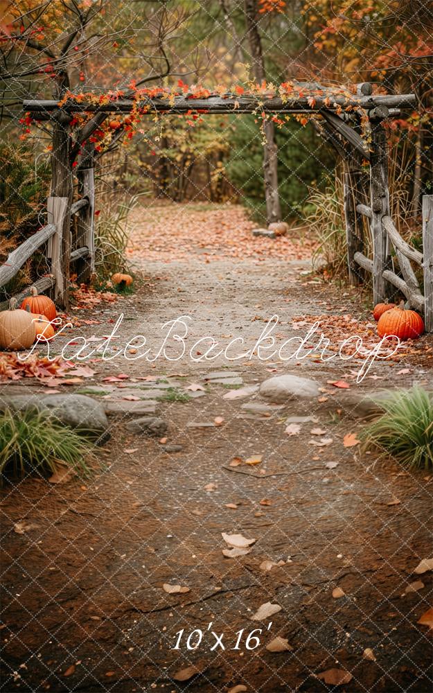 Kate Sweep Autumn Path In The Woods Backdrop Designed by Patty Robert - Image 2