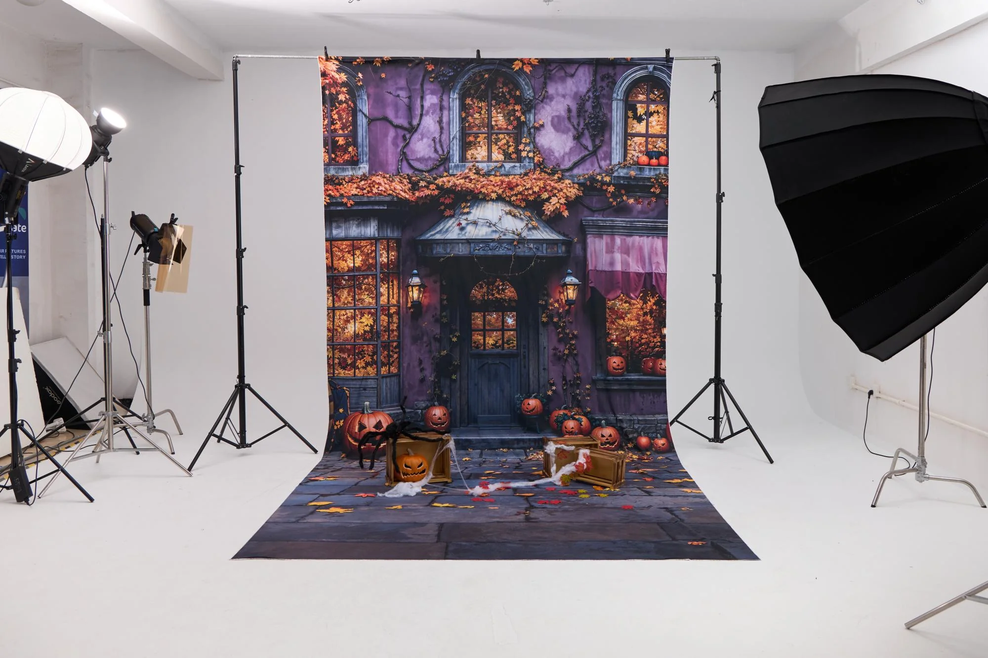 Kate Sweep Halloween Pumpkin Cottage Backdrop Designed by Emetselch - Image 3