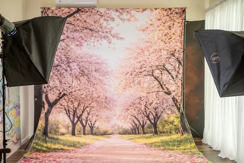 Kate Sweep Spring Cherry Blossom Path Backdrop Designed by Vertigo Productions - Image 4