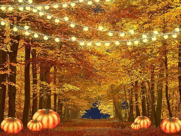 Kate Thanksgiving Pumpkin Fall Trees Backdrop for Photography Designed By Jerry_Sina - Image 2