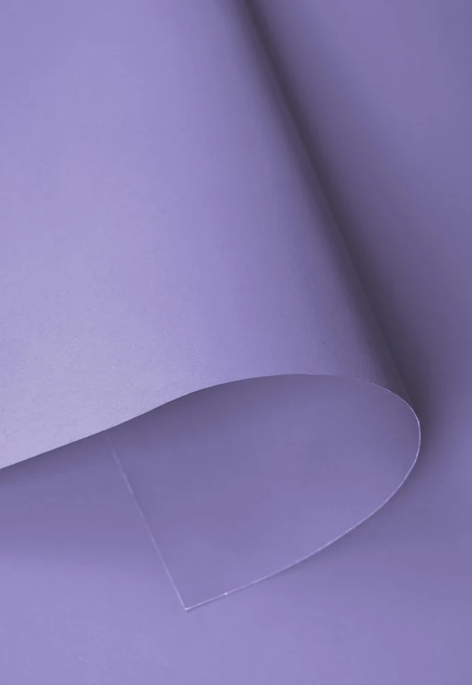 Kate Thistle Lavender Purple Seamless Paper Backdrop for Photography - Image 7