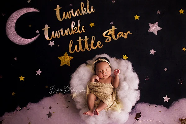 Kate Twinkle Stars night Children Baby Shower Backdrop for Photography Designed By Erin Larkins - Image 4