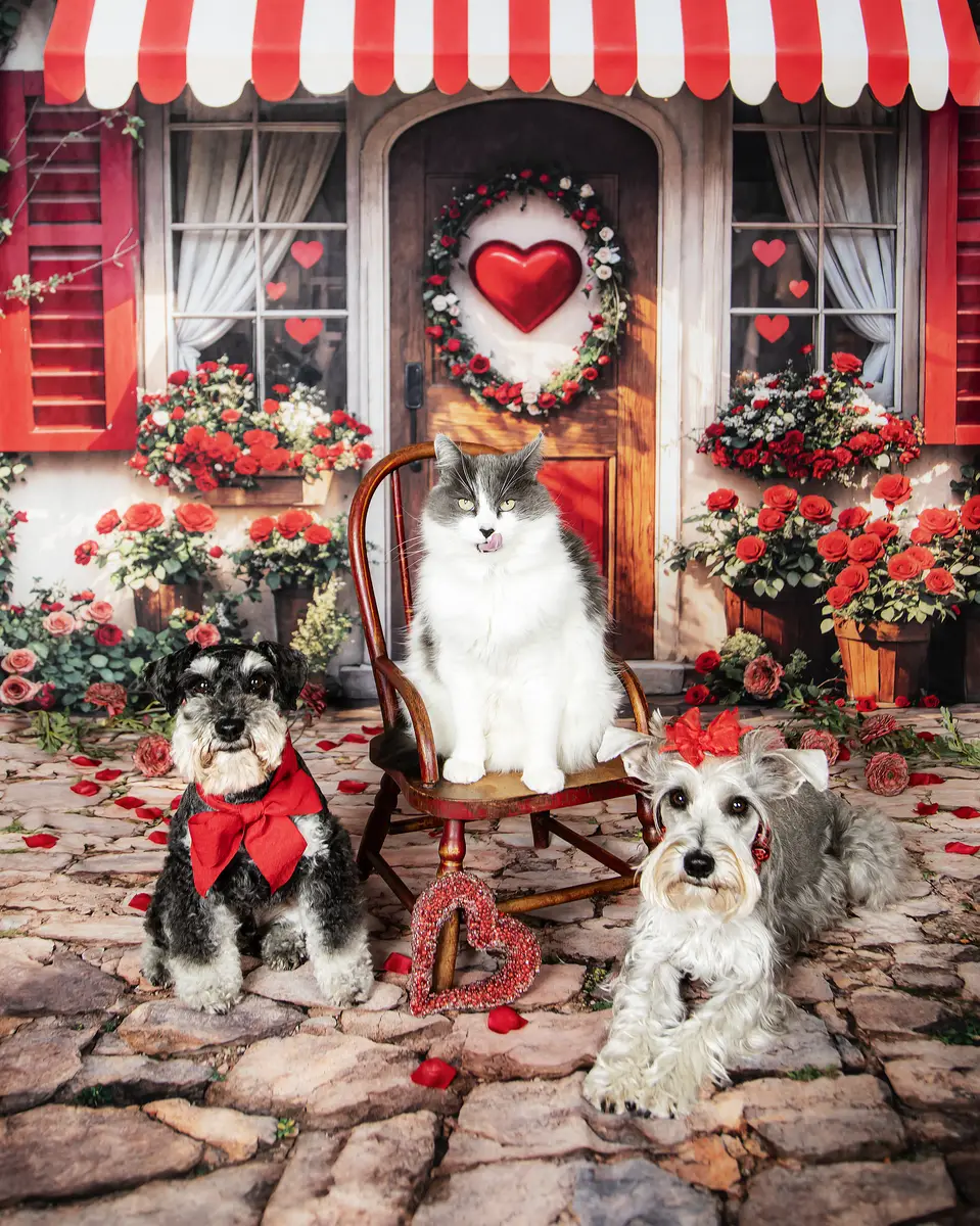 Kate Valentine Red Roses Heart Door Backdrop Designed by Emetselch - Image 3