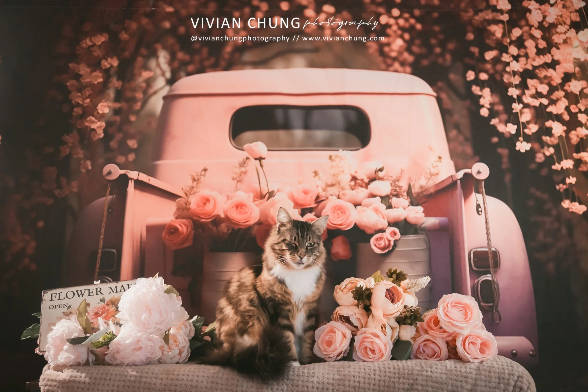 Kate Valentine's Day Pink Flowers Truck Backdrop Designed by Chain Photography - Image 4