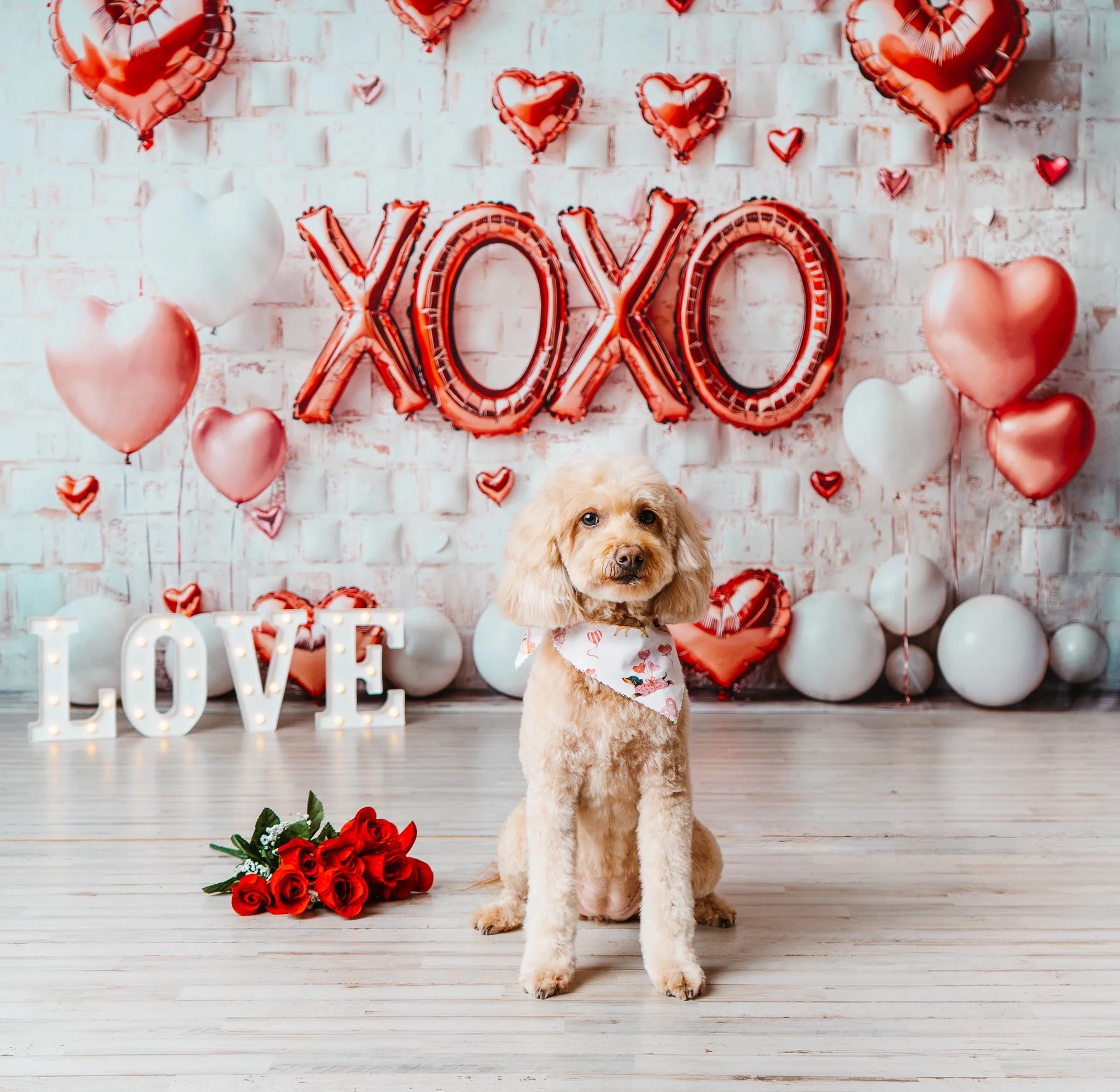 Kate Valentine's Day Pink Heart Balloon Backdrop Designed by Emetselch - Image 4