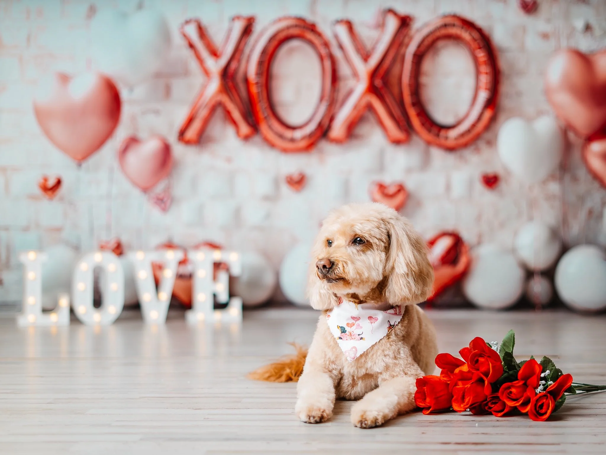 Kate Valentine's Day Pink Heart Balloon Backdrop Designed by Emetselch - Image 5