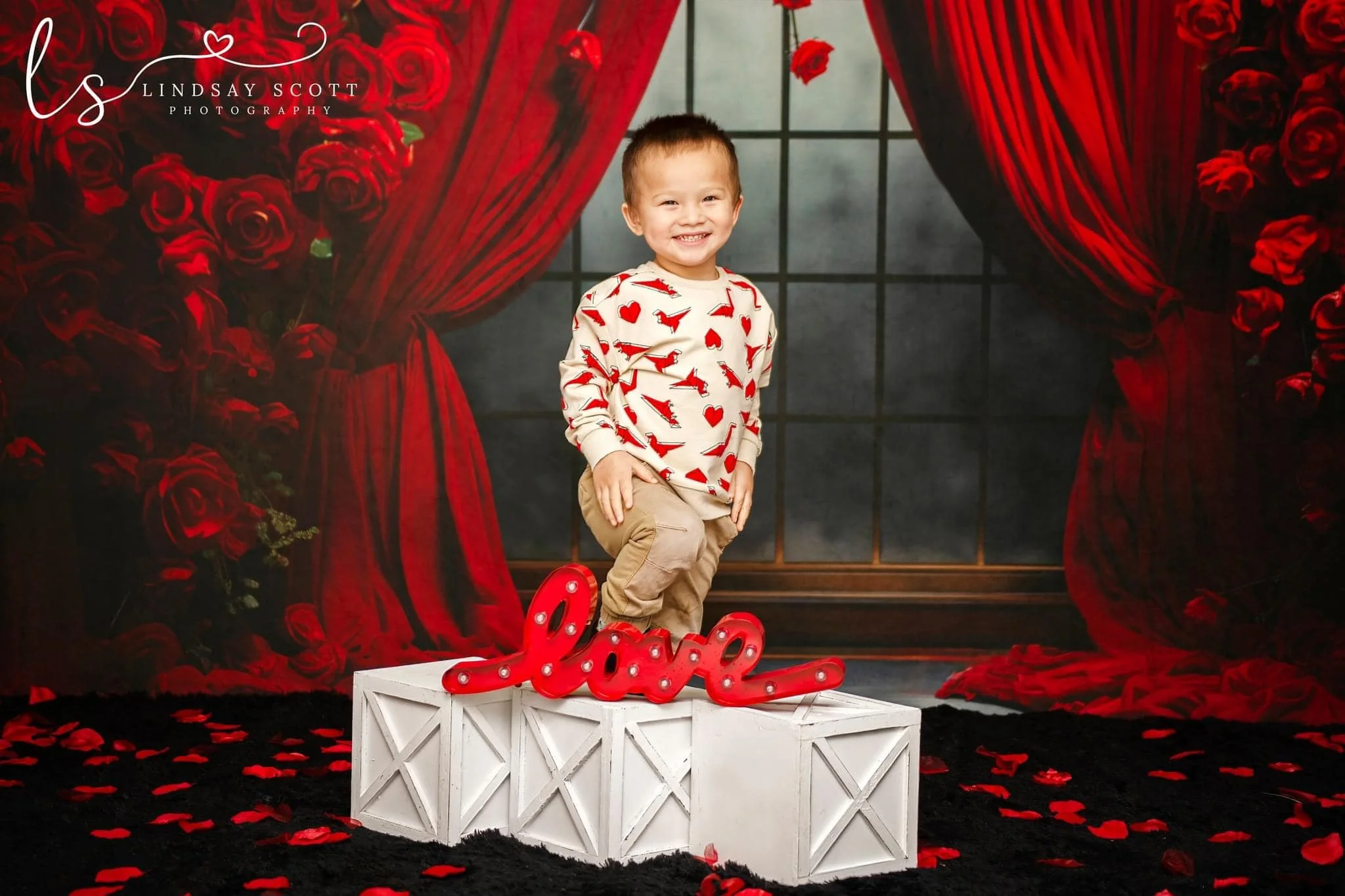 Kate Valentine's Day Rose Curtains Fleece Backdrop Designed by Mini MakeBelieve - Image 4