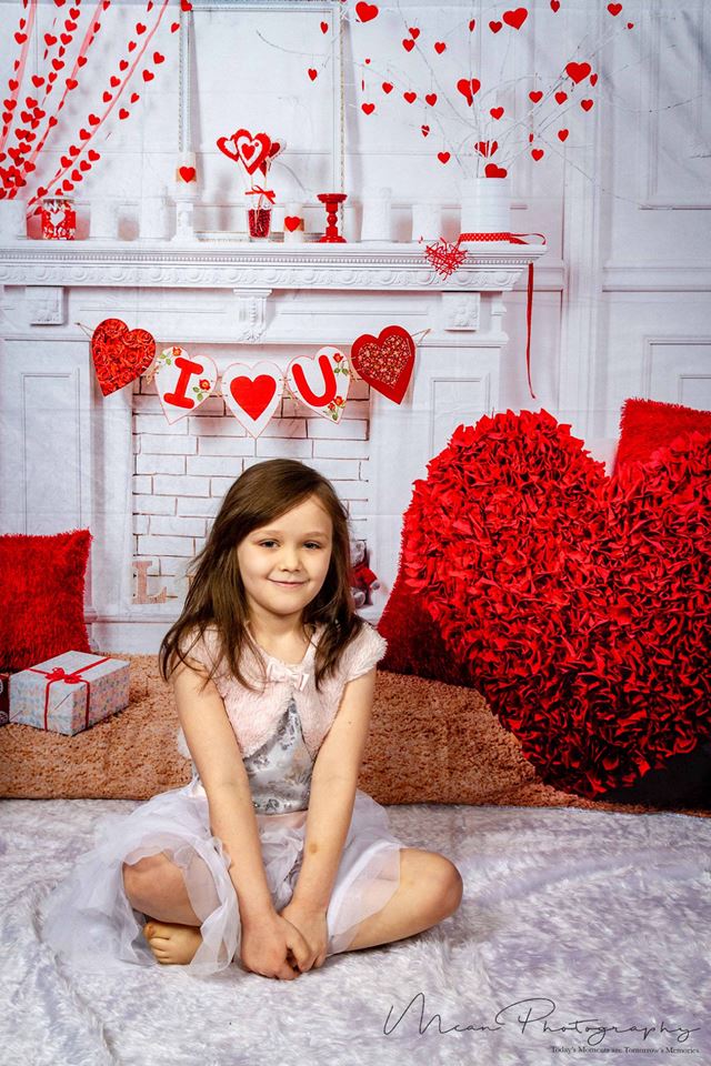 Kate Valentine's Day White House Backdrop for Photography - Image 6