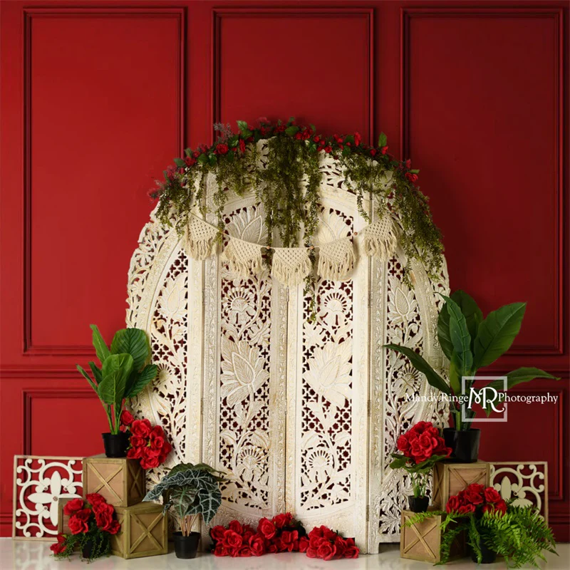 Kate Valentine's Screen with Red Wall Backdrop Designed by Mandy Ringe Photography - Image 2