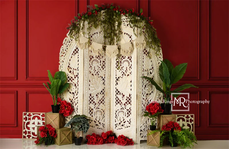 Kate Valentine's Screen with Red Wall Backdrop Designed by Mandy Ringe Photography - Image 3