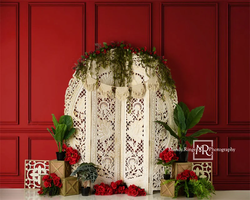 Kate Valentine's Screen with Red Wall Backdrop Designed by Mandy Ringe Photography - Image 4