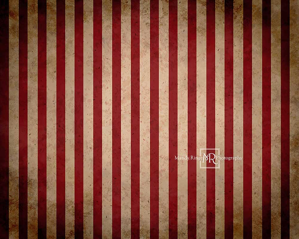 Kate Vintage Circus Stripes Children Backdrop Designed By Mandy Ringe Photography - Image 3