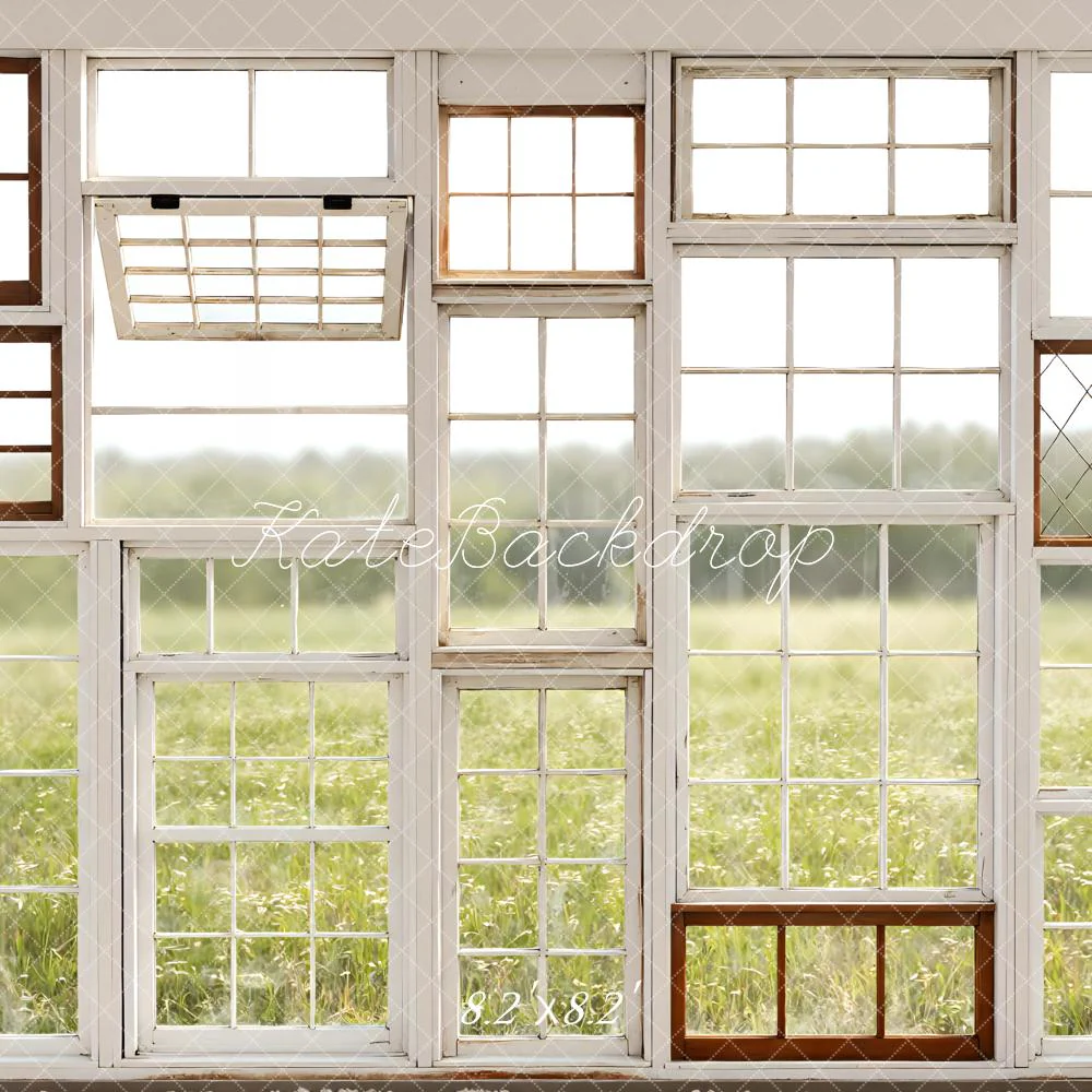 Kate Vintage Window Frames Backdrop Designed by Mini MakeBelieve - Image 5