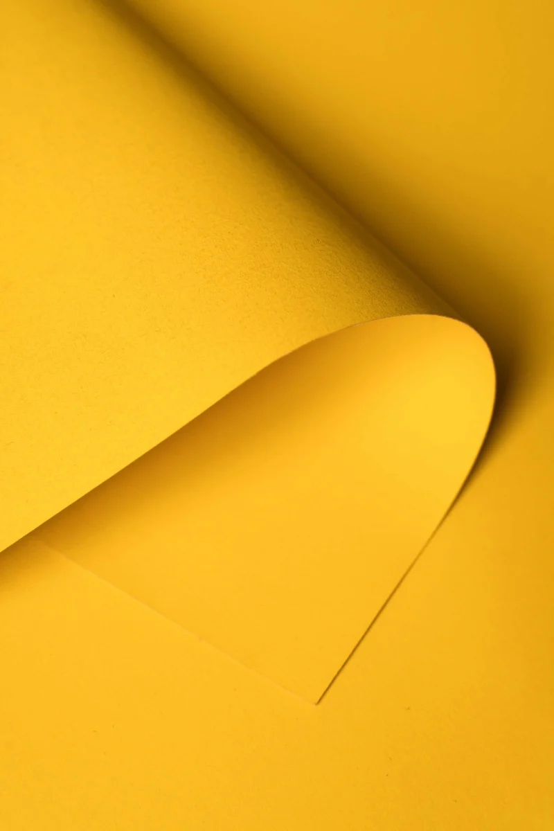 Kate Forsythia Yellow Seamless Paper Backdrop for Photography - Image 4