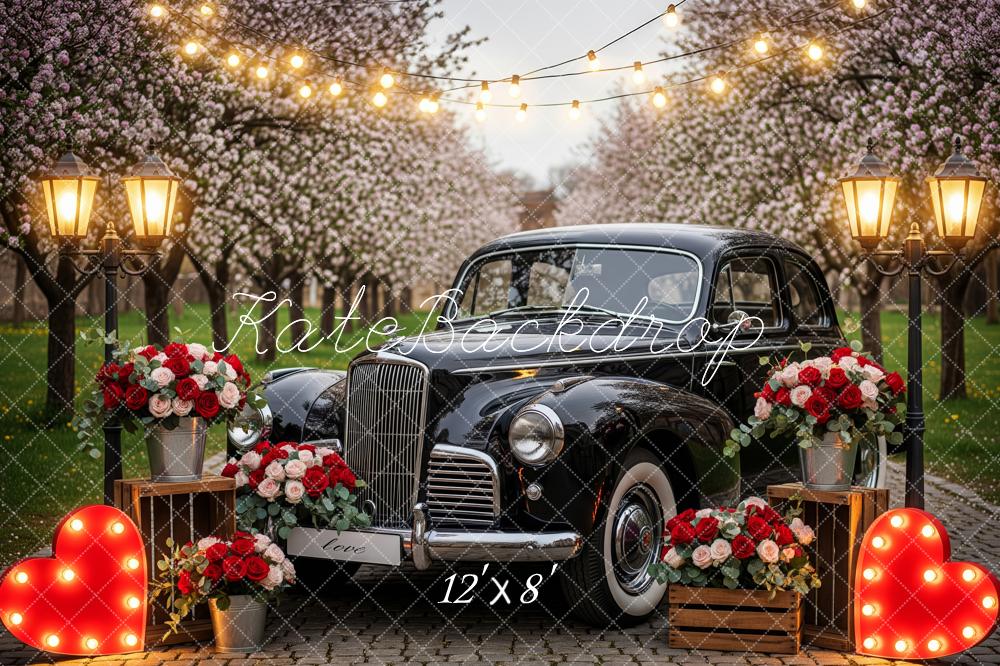 Kate Wedding Vintage Car Heart Lights Roses Fleece Backdrop Designed by Patty Robert - Image 4