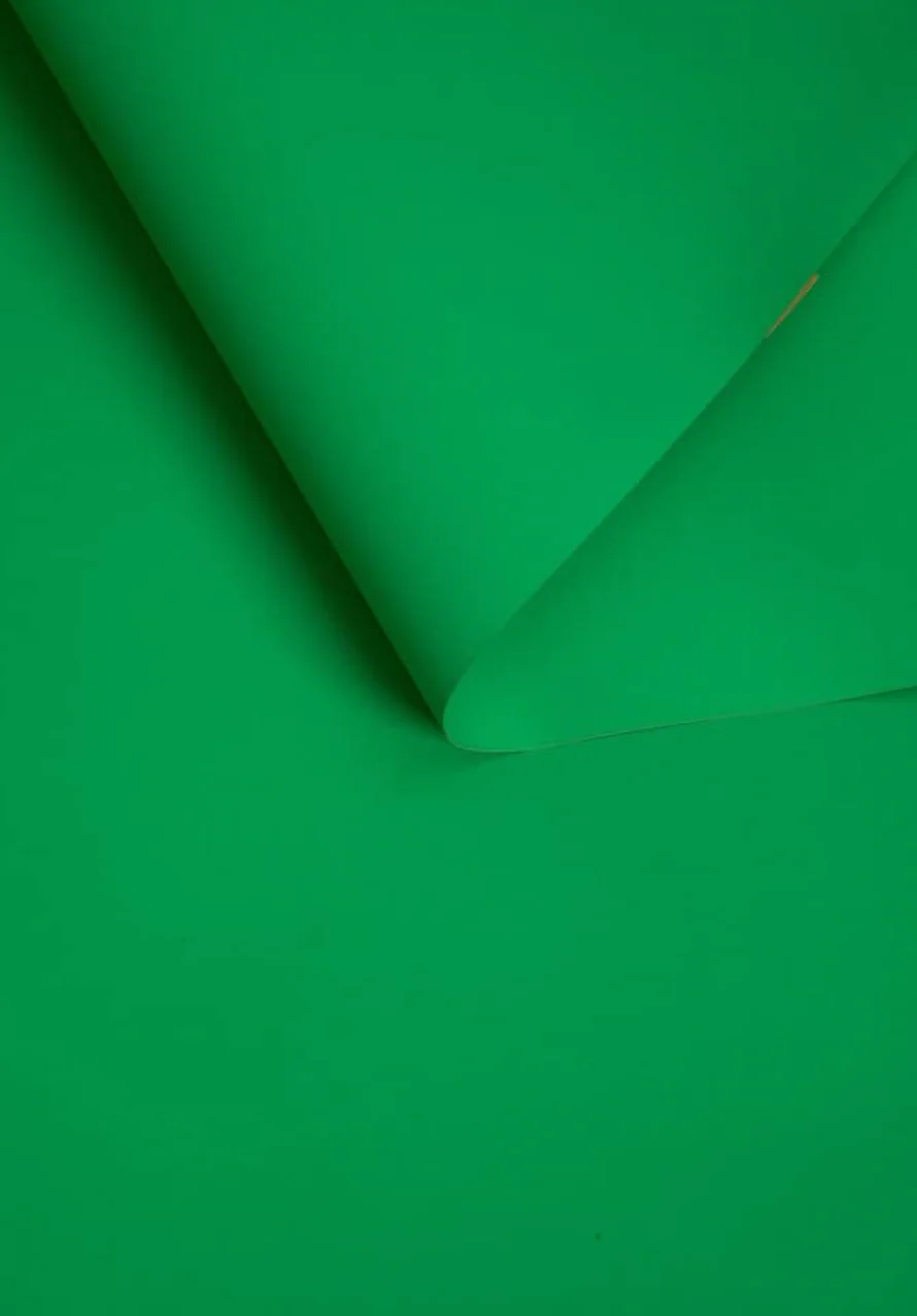 Kate Whiskey Green Seamless Paper Backdrop for Photography - Image 3