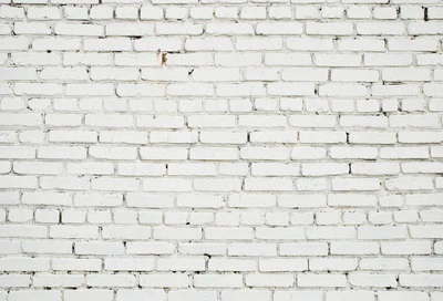 Kate White Bricks Backdrops for Photography
