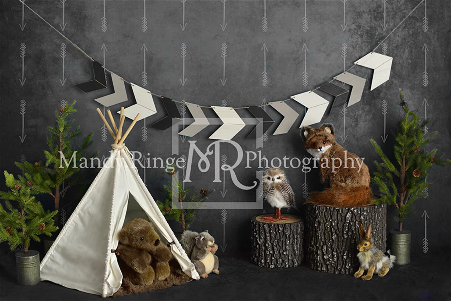 Kate Wild Birthday with Animals Children Backdrop Designed By Mandy Ringe Photography - Image 2