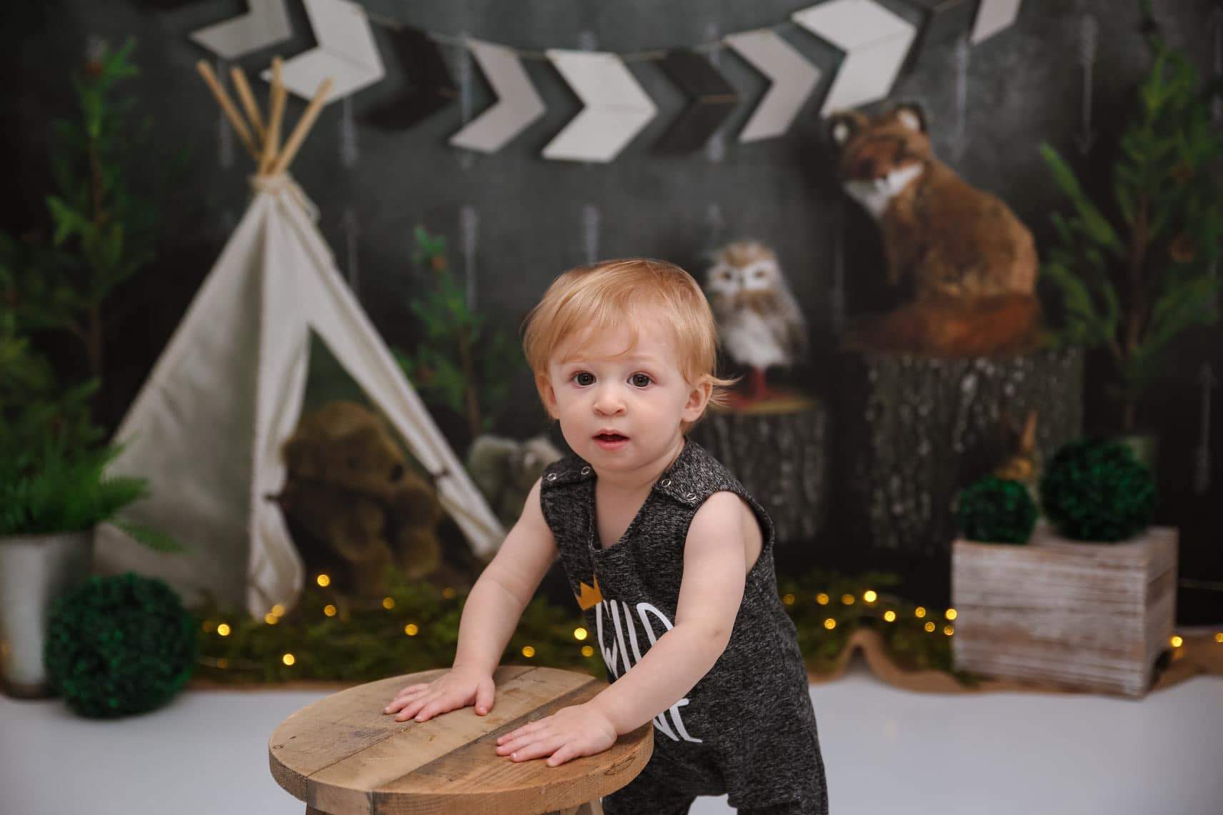 Kate Wild Birthday with Animals Children Backdrop Designed By Mandy Ringe Photography - Image 3
