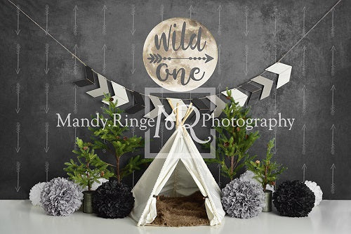 Kate Wild One Boy First Birthday Backdrop Designed By Mandy Ringe Photography - Image 2