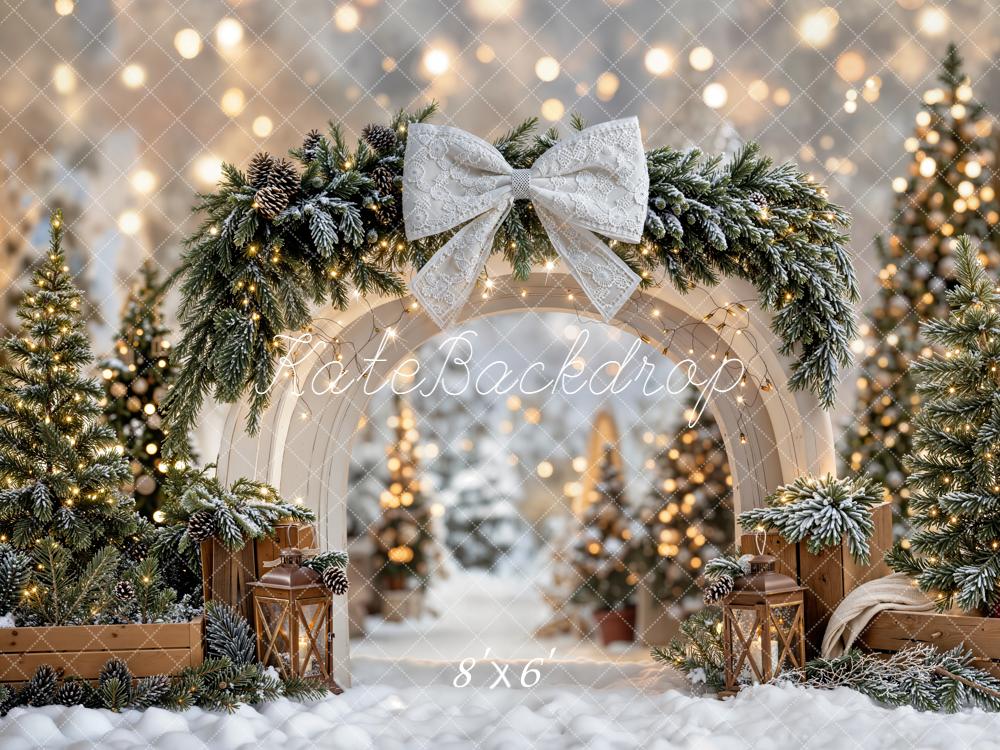 Kate Winter Christmas Arch Snowy Backdrop Designed by Emetselch - Image 3