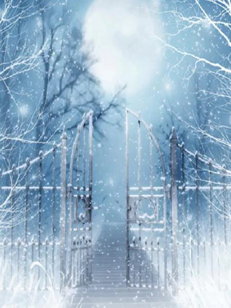 Kate Winner Photography Backdrops Bridge Gate With Snow Backdrop - Image 3