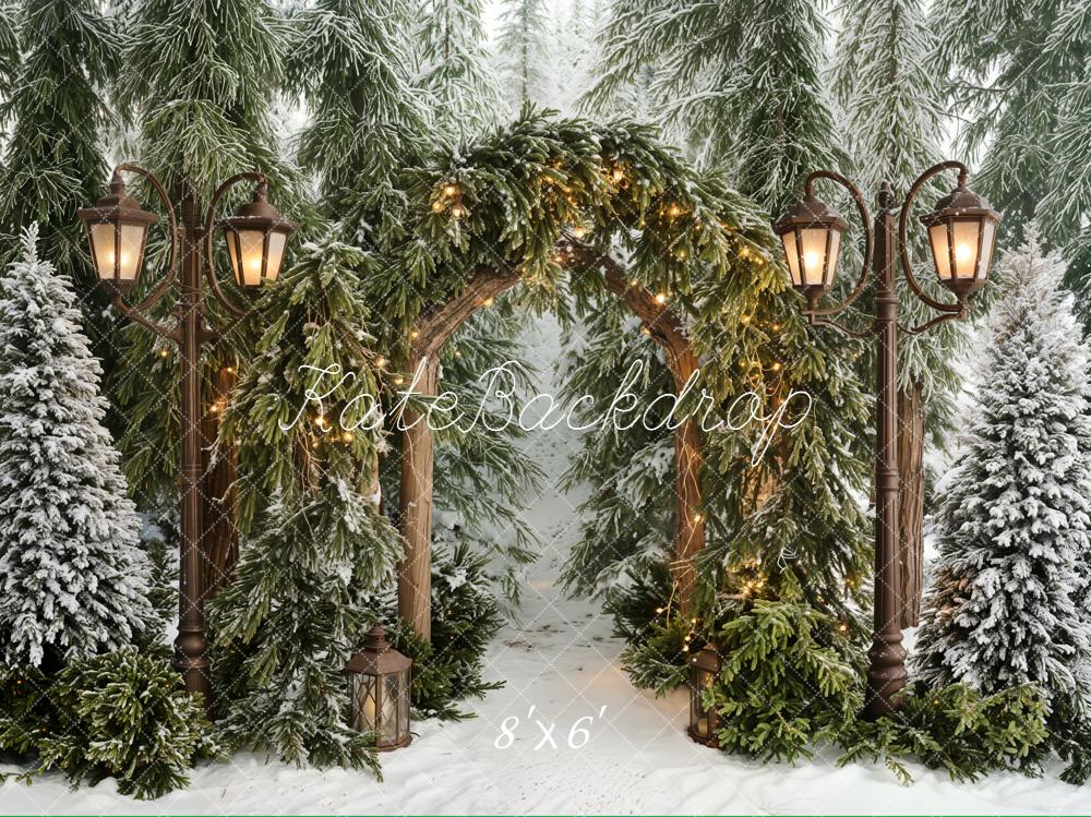 Kate Winter Arch Lantern Snow Trees Backdrop Designed by Emetselch - Image 5