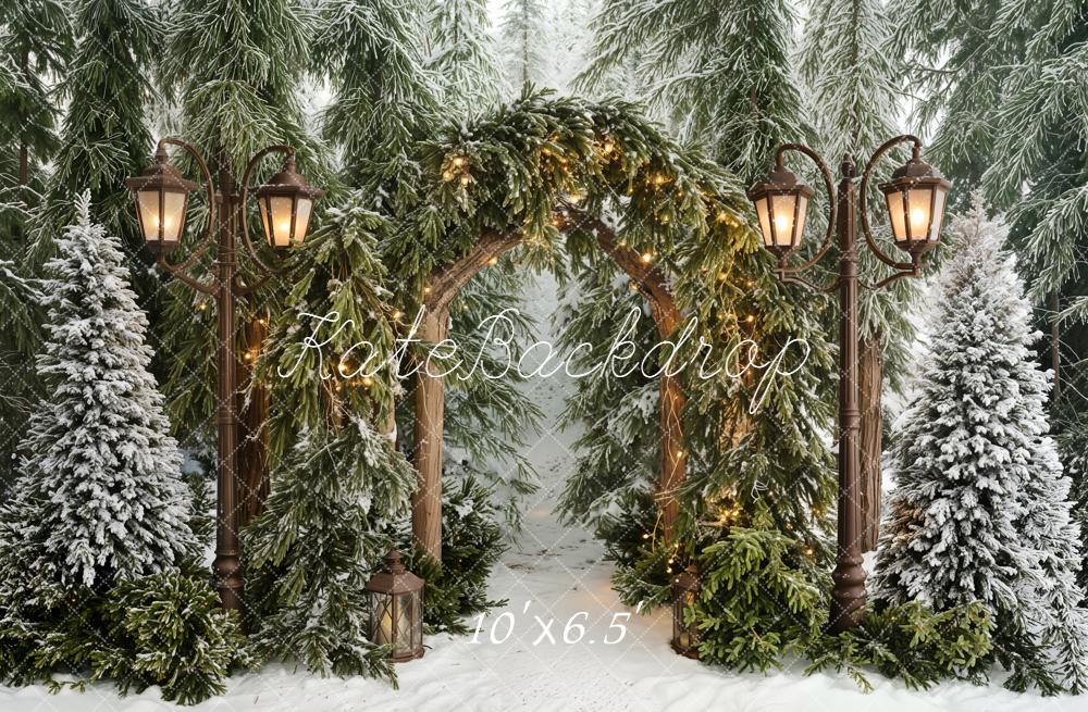 Kate Winter Arch Lantern Snow Trees Backdrop Designed by Emetselch - Image 6