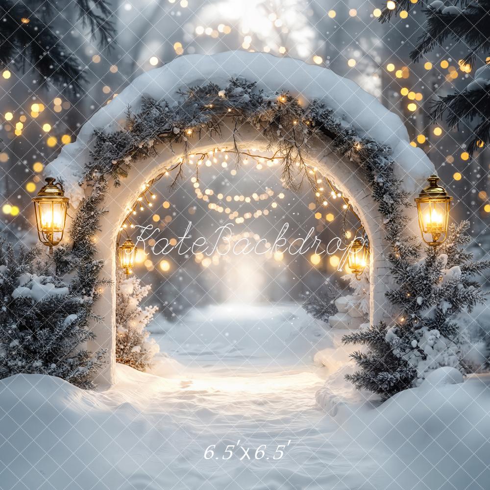 Kate Christmas Winter Arch Snow Lights Backdrop Designed by Emetselch - Image 2
