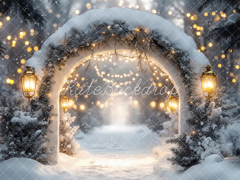 Kate Christmas Winter Arch Snow Lights Backdrop Designed by Emetselch - Image 3