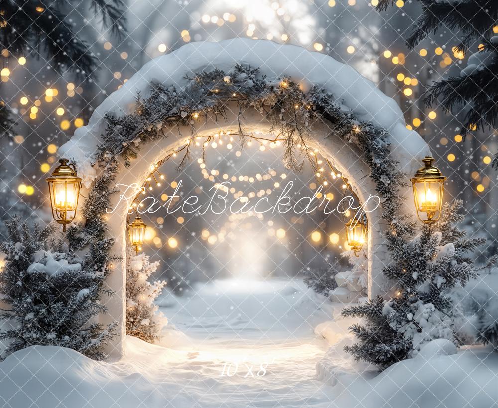 Kate Winter Arch Snow Lights Fleece Backdrop Designed by Emetselch - Image 3