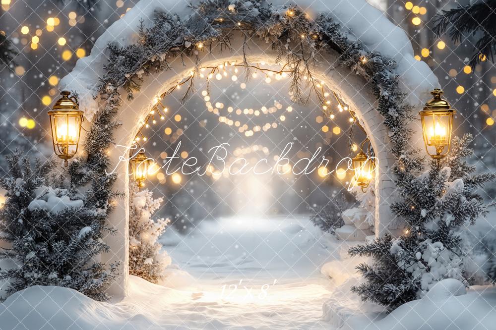Kate Winter Arch Snow Lights Fleece Backdrop Designed by Emetselch - Image 4