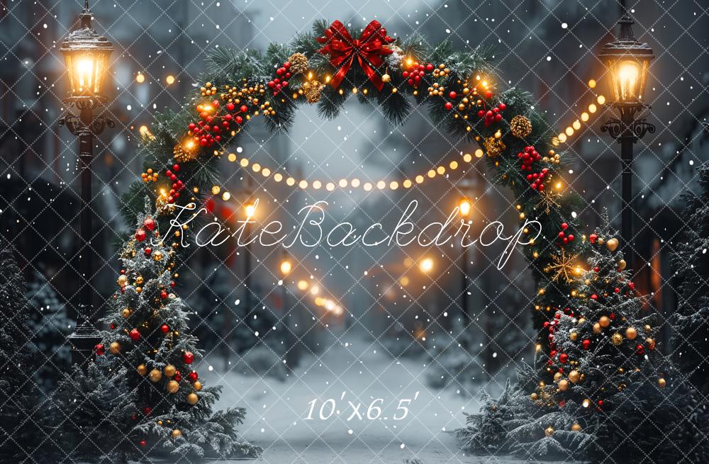 Kate Winter Christmas Arch Street Road Backdrop Designed by Emetselch - Image 4