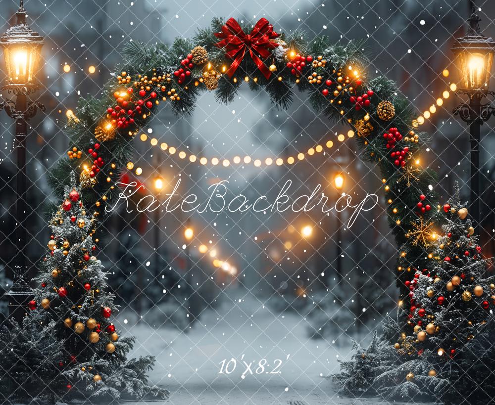 Kate Winter Christmas Arch Street Road Backdrop Designed by Emetselch - Image 5