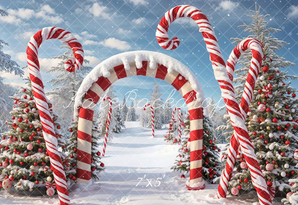 Kate Winter Christmas Forest Snow Candy Arch Backdrop Designed by Chain Photography - Image 2