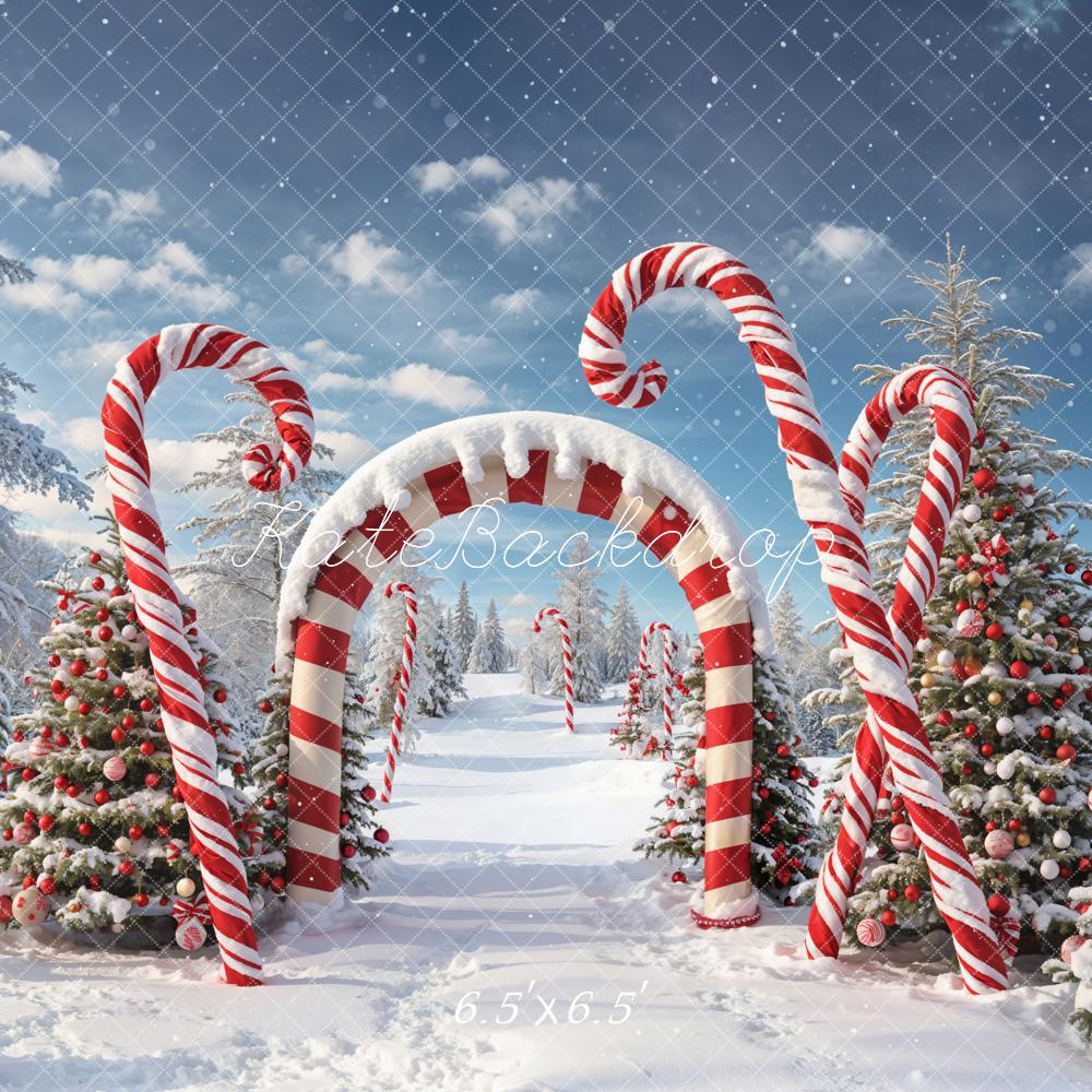 Kate Winter Christmas Forest Snow Candy Arch Backdrop Designed by Chain Photography - Image 6