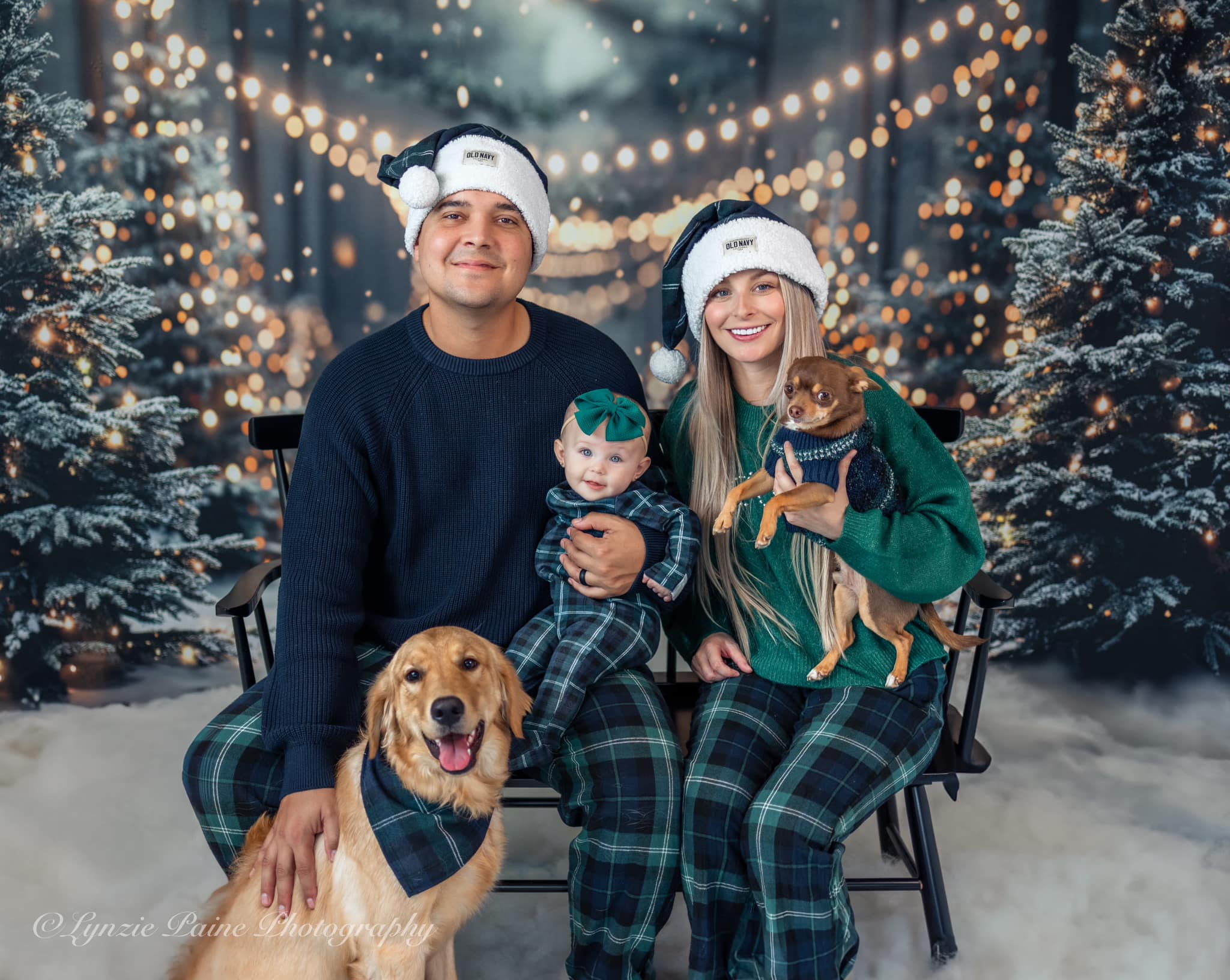 Kate Winter Christmas Forest Snowland Backdrop Designed by Emetselch - Image 3