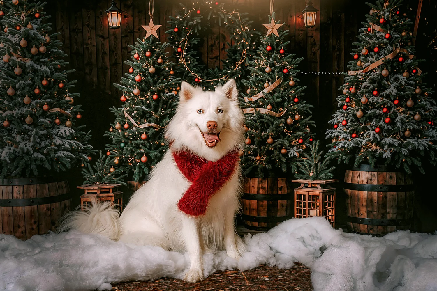 Kate Winter Dark Green Christmas Tree Forest Backdrop Designed by Emetselch - Image 3