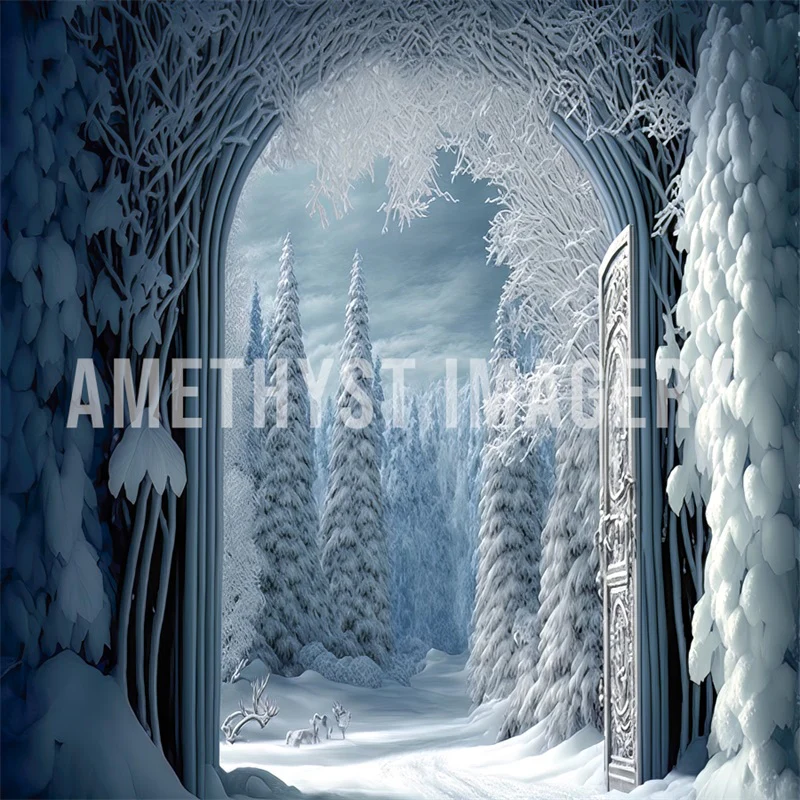 Kate Winter Doorway Backdrop Designed by Angela Marie Photography - Image 2