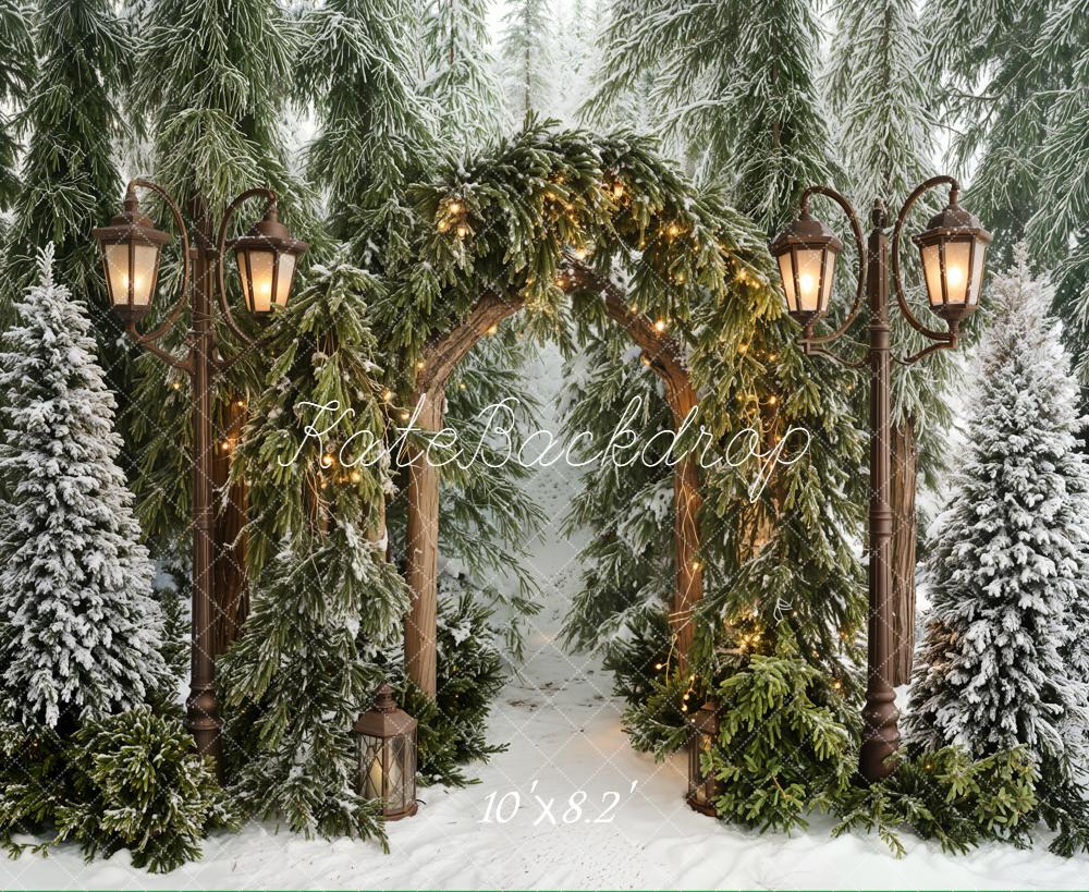 Kate Winter Forest Arch Snowy Trees Fleece Backdrop Designed by Emetselch - Image 3