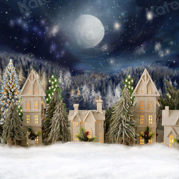 Kate Winter Night Christmas House Backdrop for Photography - Image 2
