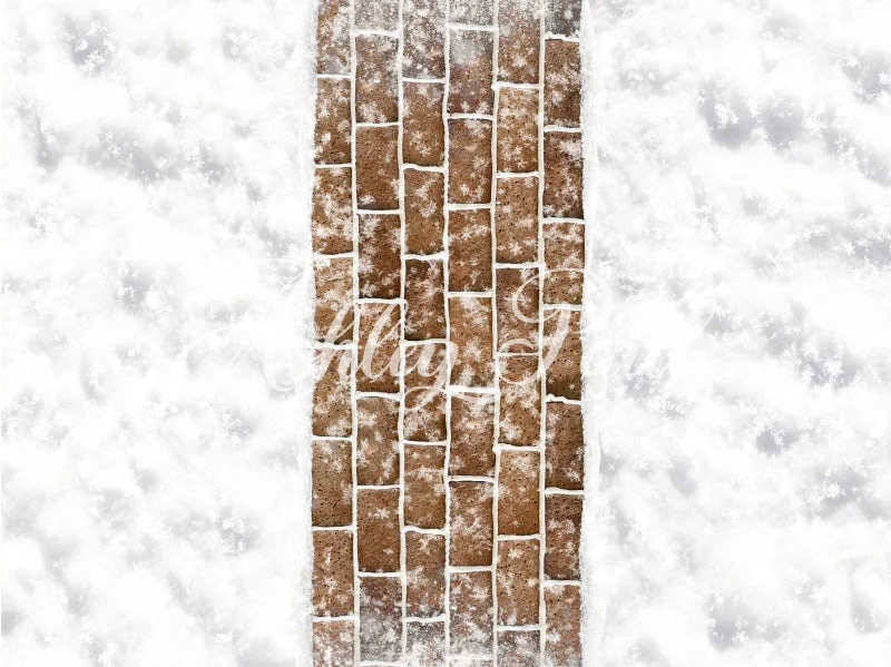 Kate Winter Snow Brown Brick Path Floor Backdrop Designed by Ashley Paul - Image 3