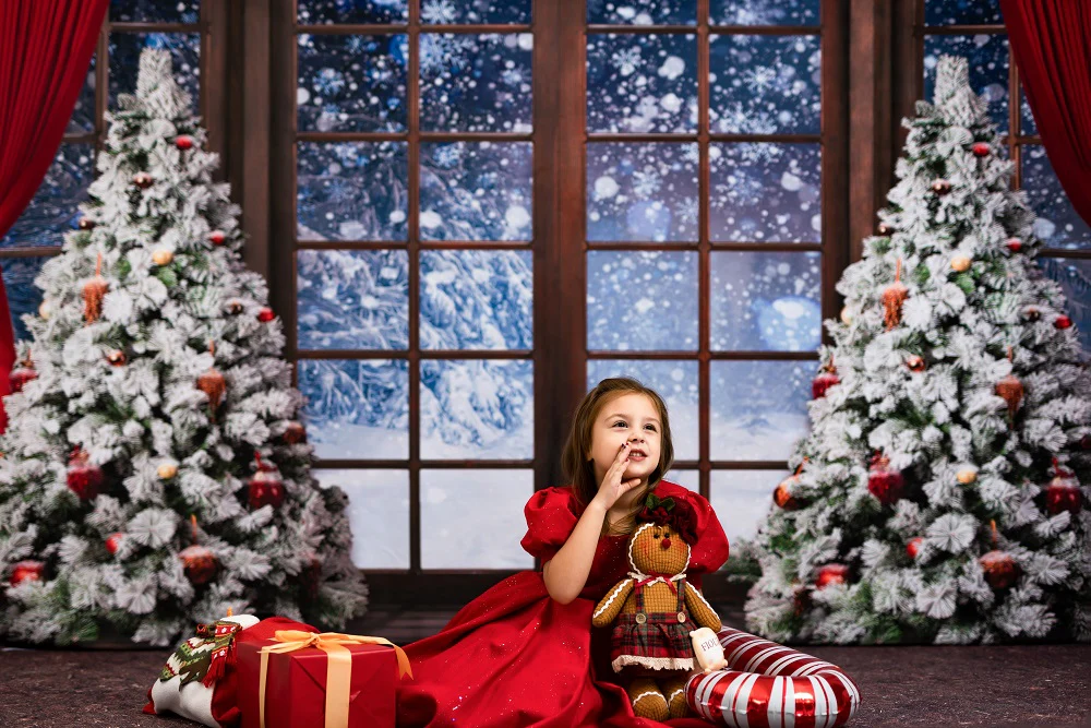 Kate Winter Snow Christmas Window Backdrop Designed by Chain Photography - Image 3